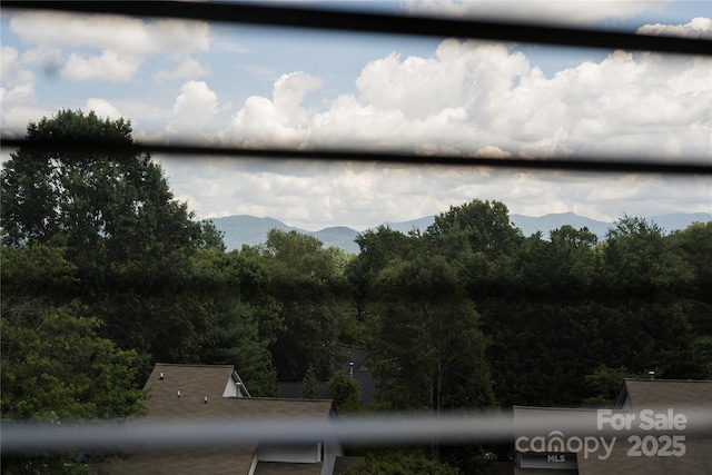 223 Cheyenne Ct, Asheville, NC 28803 - photo 33