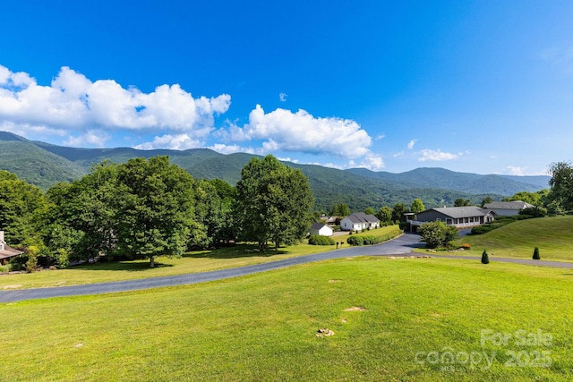 605 Red Bank Rd, Waynesville, NC 28786 - photo 28