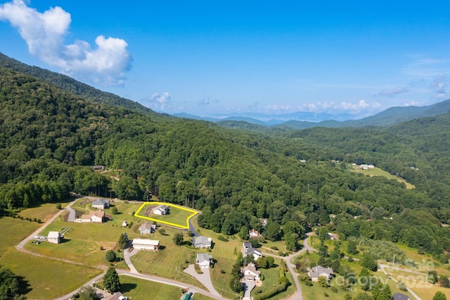605 Red Bank Rd, Waynesville, NC 28786 - photo 31