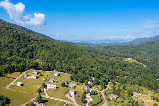 605 Red Bank Rd, Waynesville, NC 28786 - photo 32