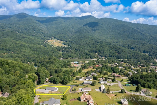 605 Red Bank Rd, Waynesville, NC 28786 - photo 33