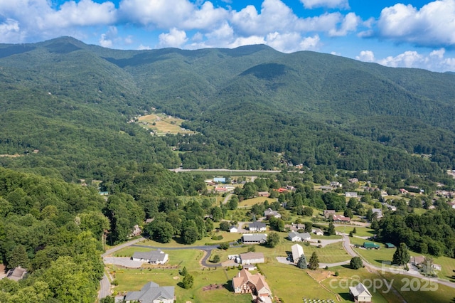 605 Red Bank Rd, Waynesville, NC 28786 - photo 34