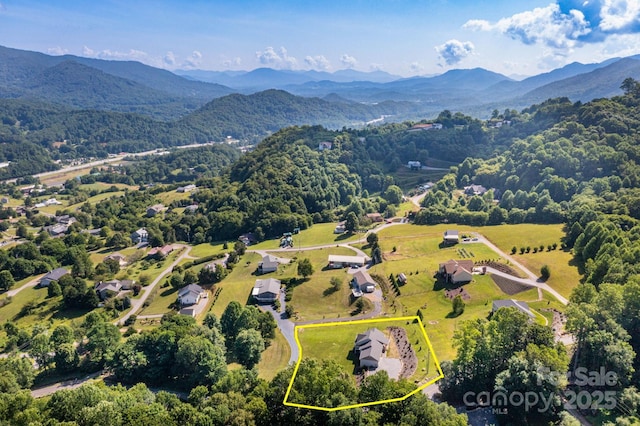 605 Red Bank Rd, Waynesville, NC 28786 - photo 35