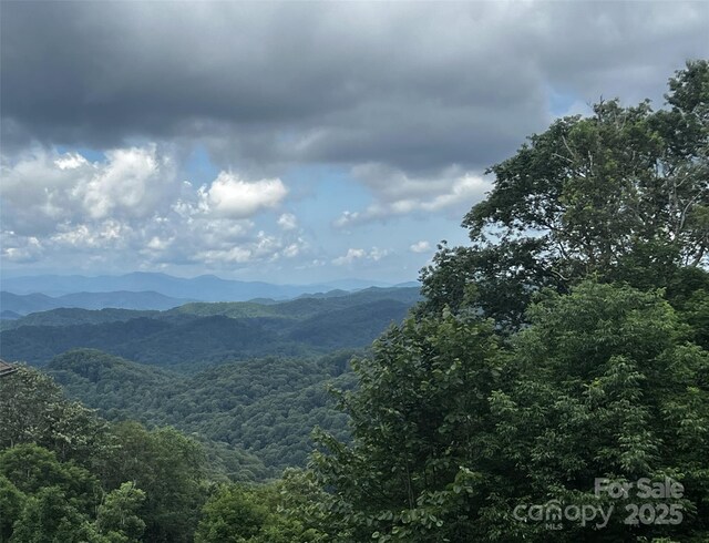 920 Mckinney Gap Dr, Mars Hill, NC 28754 - photo 20