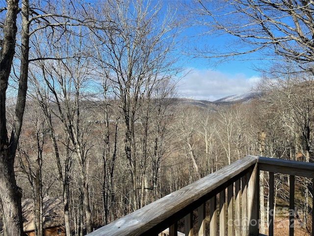 920 Mckinney Gap Dr, Mars Hill, NC 28754 - photo 23