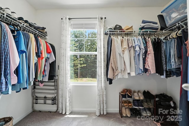 280 Mills Creek Rd, Iron Station, NC 28080 - spacious closet with carpet