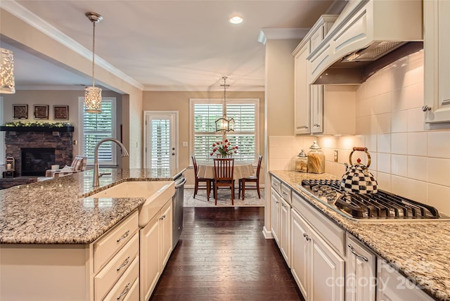 2599 Treeline Dr, Concord, NC 28027 - kitchen with stainless steel appliances, custom exhaust hood, ornamental molding, dark wood finished floors, and healthy amount of natural light