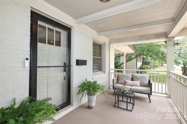 4023 Abbeydale Dr, Charlotte, NC 28205 - photo 6