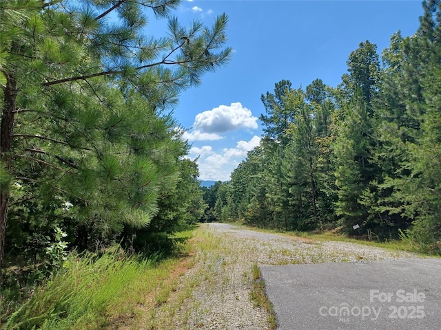 31 Hull Ave, Nebo, NC 28761