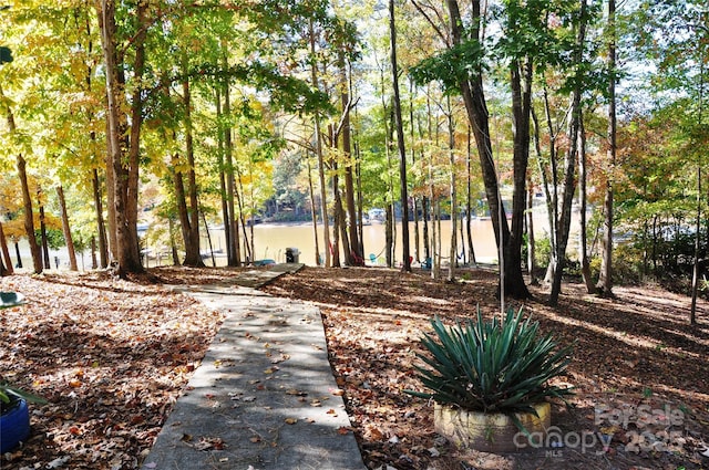 3645 Lake Bluff Dr, Sherrills Ford, NC 28763 - surrounding community