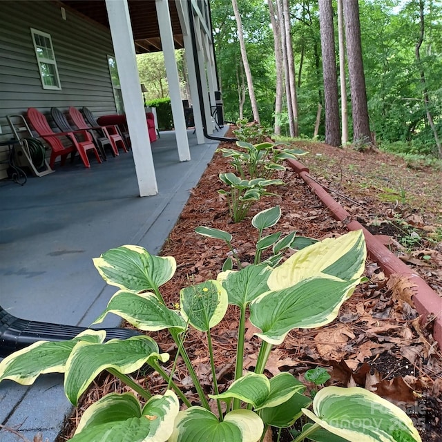 3645 Lake Bluff Dr, Sherrills Ford, NC 28763 - view of yard with a porch