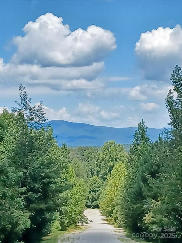 88 Lowden Dr Unit 88, Nebo, NC 28761