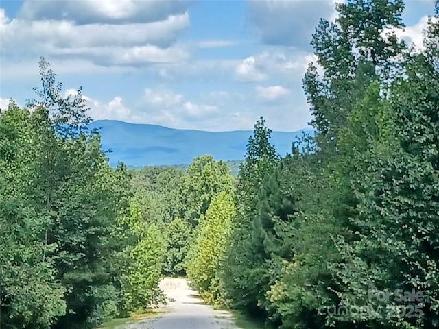 88 Lowden Dr Unit 88, Nebo, NC 28761