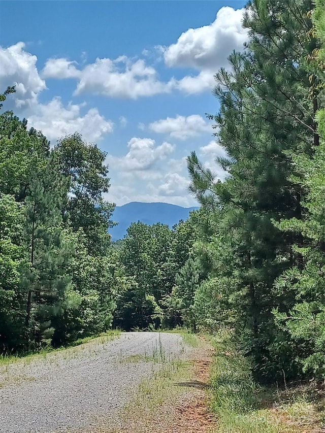 88 Lowden Dr Unit 88, Nebo, NC 28761