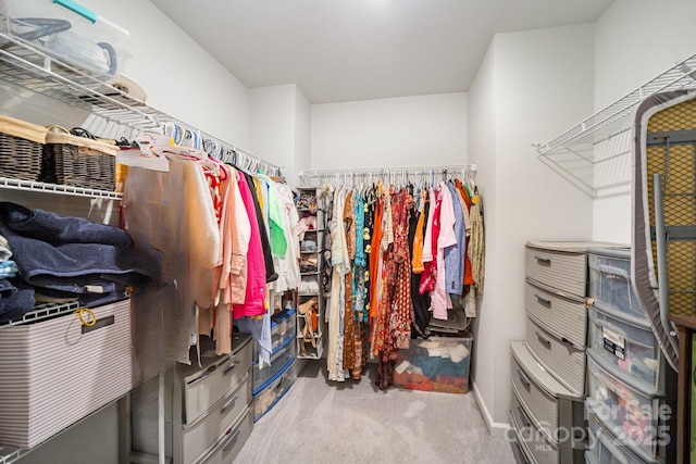 508 Morrows Turnout Way Unit 97, Pineville, NC 28134 - walk in closet with carpet floors