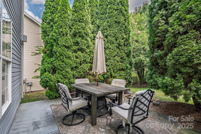 10121 Halkirk Manor Ln, Charlotte, NC 28278 - photo 18