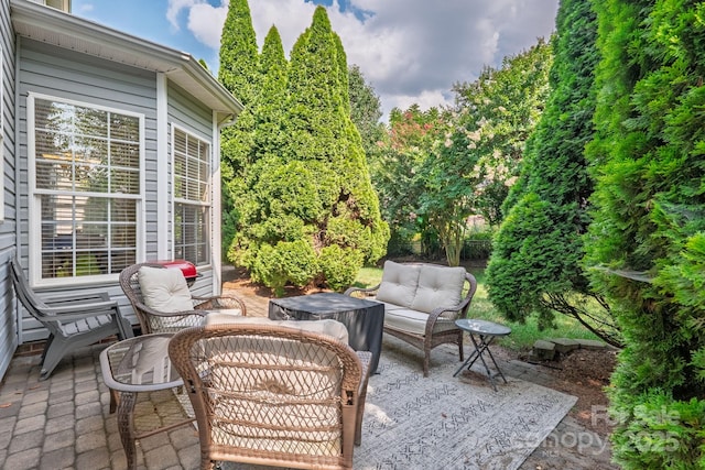 10121 Halkirk Manor Ln, Charlotte, NC 28278 - photo 21