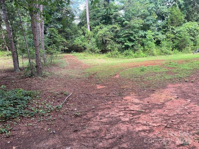 560 Hester Mill Rd, Rutherfordton, NC 28139 - photo 18