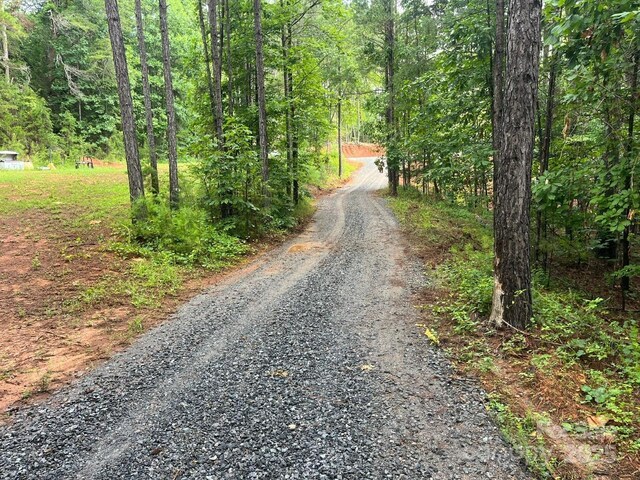 560 Hester Mill Rd, Rutherfordton, NC 28139 - photo 19