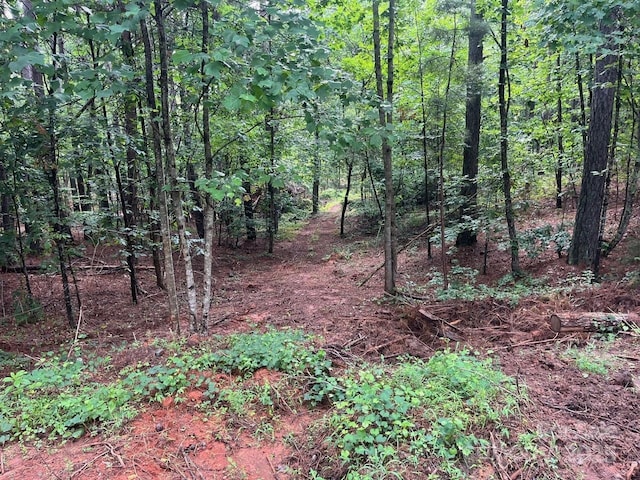 560 Hester Mill Rd, Rutherfordton, NC 28139 - photo 20