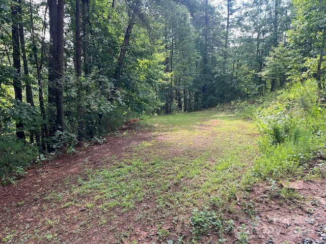 560 Hester Mill Rd, Rutherfordton, NC 28139 - photo 21