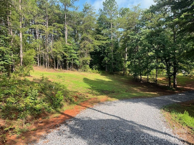 560 Hester Mill Rd, Rutherfordton, NC 28139 - photo 22