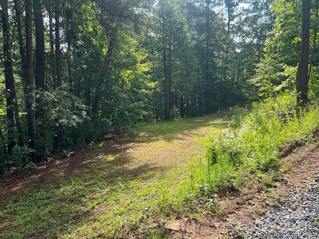 560 Hester Mill Rd, Rutherfordton, NC 28139 - photo 23