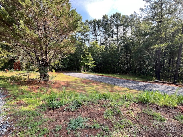560 Hester Mill Rd, Rutherfordton, NC 28139 - photo 25