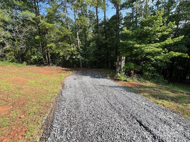 560 Hester Mill Rd, Rutherfordton, NC 28139 - photo 31