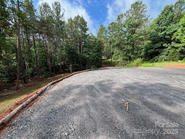 560 Hester Mill Rd, Rutherfordton, NC 28139 - photo 36