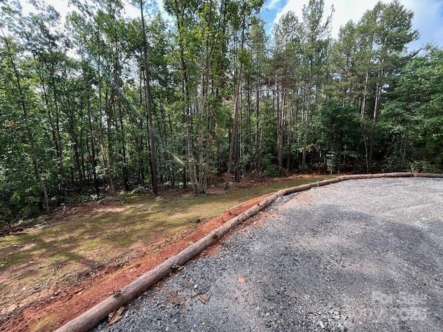 560 Hester Mill Rd, Rutherfordton, NC 28139 - photo 37