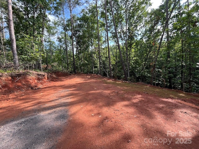 560 Hester Mill Rd, Rutherfordton, NC 28139 - photo 38