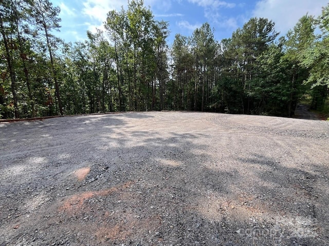 560 Hester Mill Rd, Rutherfordton, NC 28139 - photo 39