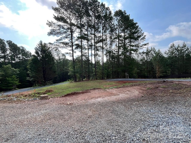 560 Hester Mill Rd, Rutherfordton, NC 28139 - photo 40