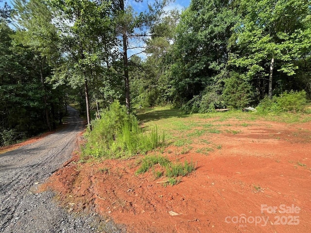 560 Hester Mill Rd, Rutherfordton, NC 28139 - photo 41