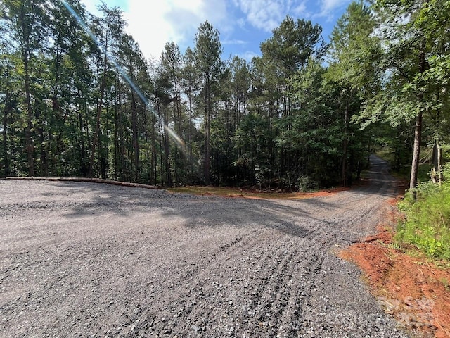 560 Hester Mill Rd, Rutherfordton, NC 28139 - photo 42