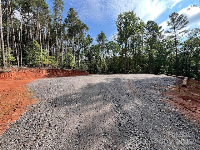 560 Hester Mill Rd, Rutherfordton, NC 28139 - photo 43