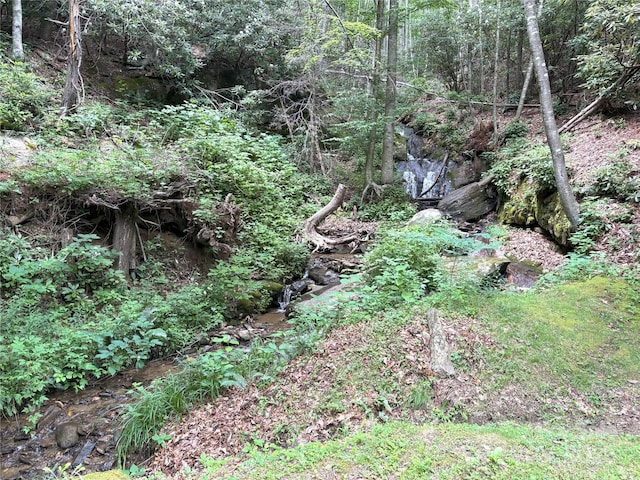 000 Valley View Dr Unit 14, Maggie Valley, NC 28751