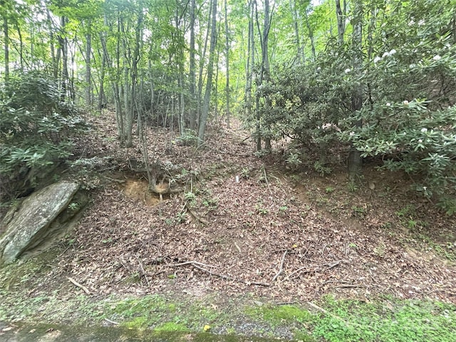 000 Valley View Dr Unit 14, Maggie Valley, NC 28751
