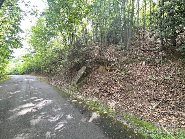 000 Valley View Dr Unit 14, Maggie Valley, NC 28751