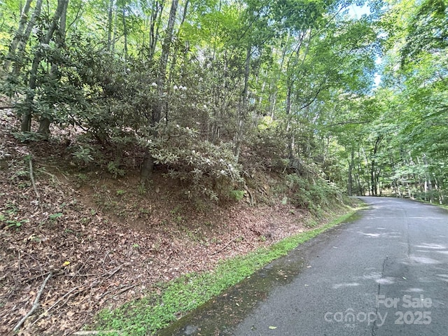 000 Valley View Dr Unit 14, Maggie Valley, NC 28751