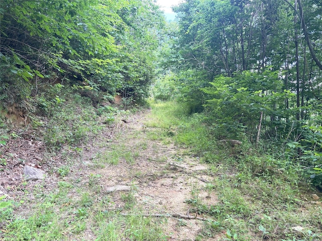 000 Valley View Dr Unit 14, Maggie Valley, NC 28751