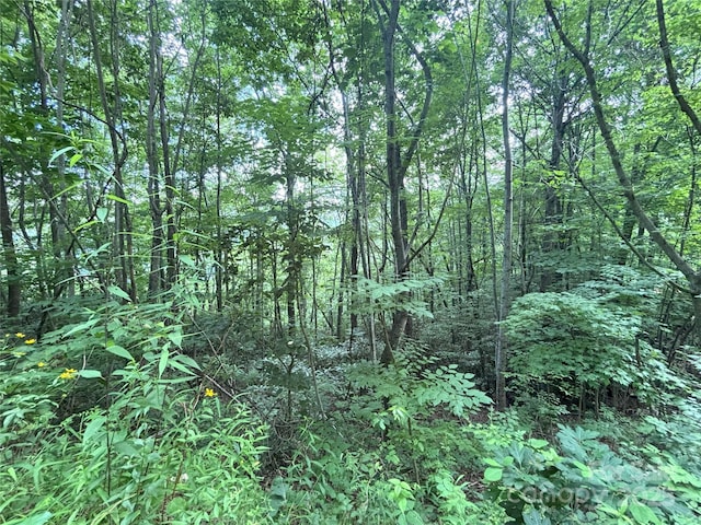 000 Valley View Dr Unit 14, Maggie Valley, NC 28751
