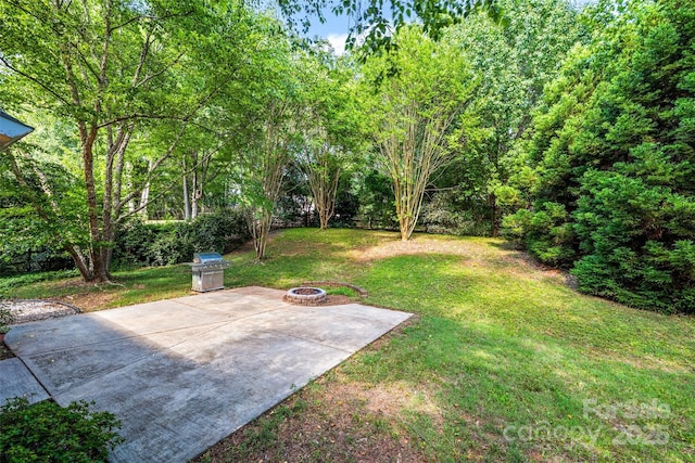 7029 Scuppernong Ct, Charlotte, NC 28215 - view of grassy yard featuring a fire pit and a patio area
