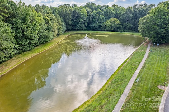 7029 Scuppernong Ct, Charlotte, NC 28215 - water view