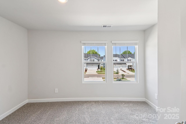 230 Tiger Lily Dr, Fort Mill, SC 29708 - photo 9