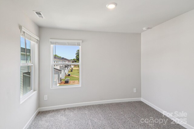 230 Tiger Lily Dr, Fort Mill, SC 29708 - photo 10