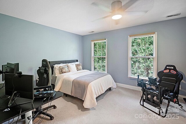 98 Frost Ln, Taylorsville, NC 28681 - photo 29