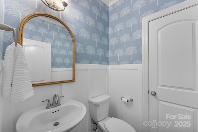17514 Julees Walk Ln, Davidson, NC 28036 - half bathroom with wallpapered walls, wainscoting, and a decorative wall