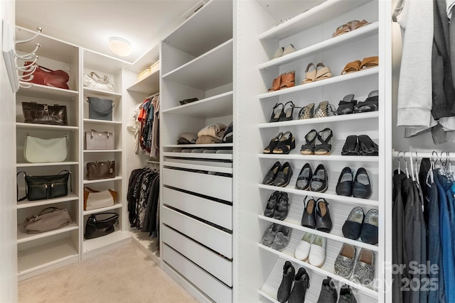17514 Julees Walk Ln, Davidson, NC 28036 - spacious closet with carpet flooring